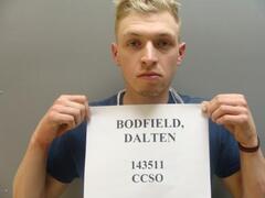 Mugshot of BODFIELD, DALTEN