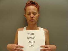 Mugshot of WULFF, BRANDI