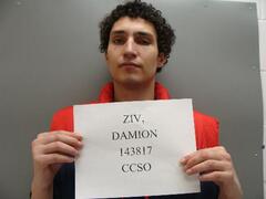 Mugshot of ZIV, DAMION