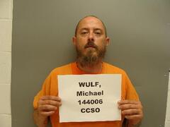 Mugshot of WULF, MICHAEL